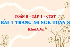 Bài 1 trang 46 SGK Toán 8 Tập 1 Chân trời sáng tạo